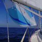 spinnaker asymétrique bleu et blanc sur Beneteau First 310